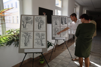 Památné stromy Plzeňského kraje představuje nová publikace i výstava