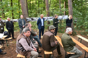 Plzeňské arboretum ukrývá borovice z celého světa Plzeňské arboretum ukrývá borovice z celého světa