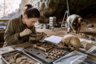 Nové druhy lidí a moderní genetika mění příběh lidské evoluce