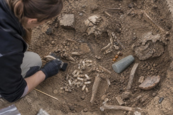 Muž byl před 5000 lety pohřben s náhrdelníkem ze 42 zubů