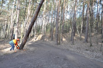V plzeňských městských lesích začala zimní údržba
