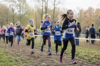Sport po kontrole NKÚ. Změnilo se po kritice vůbec něco?